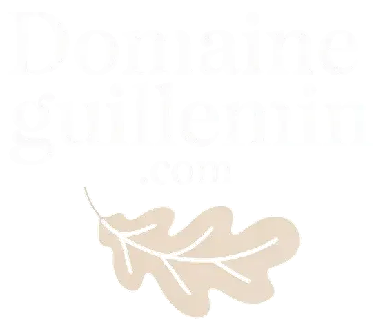 domaineguillemin.com